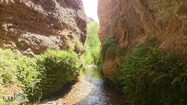 دره قاهان ییلاقی در دل کویر